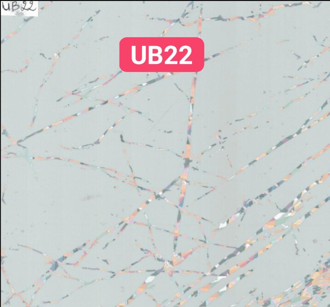 UB22