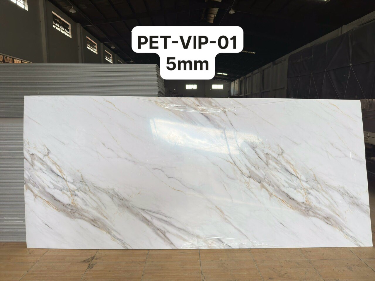 VIP-01
