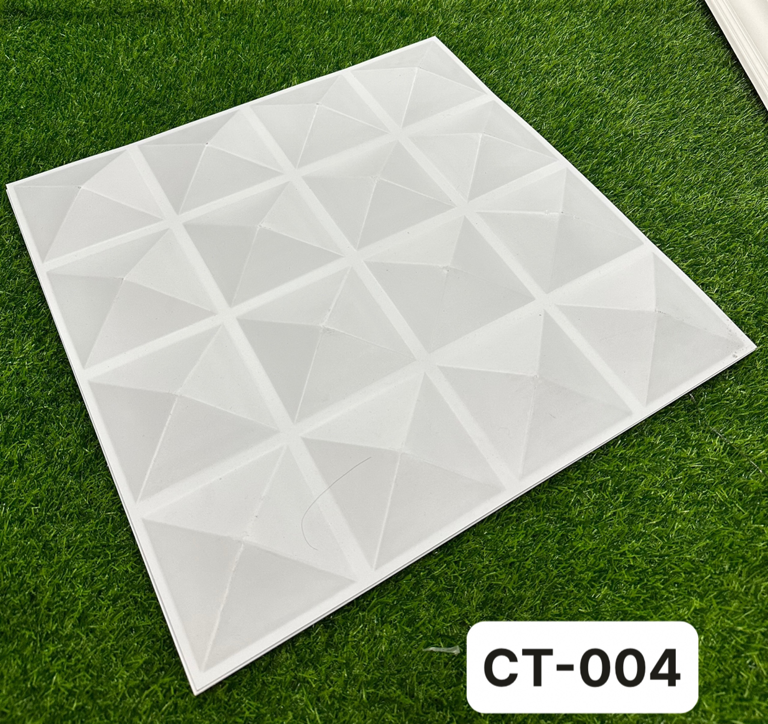 CT-004