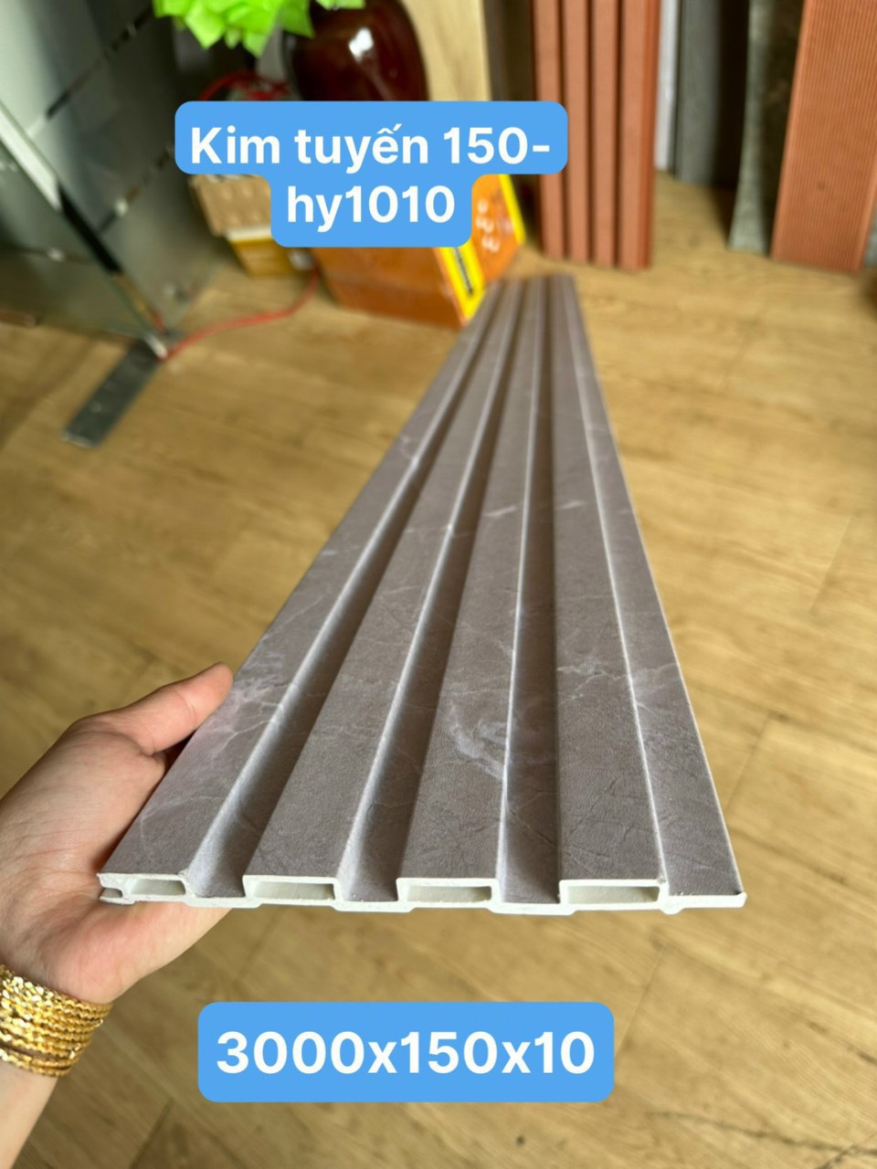 HY1010