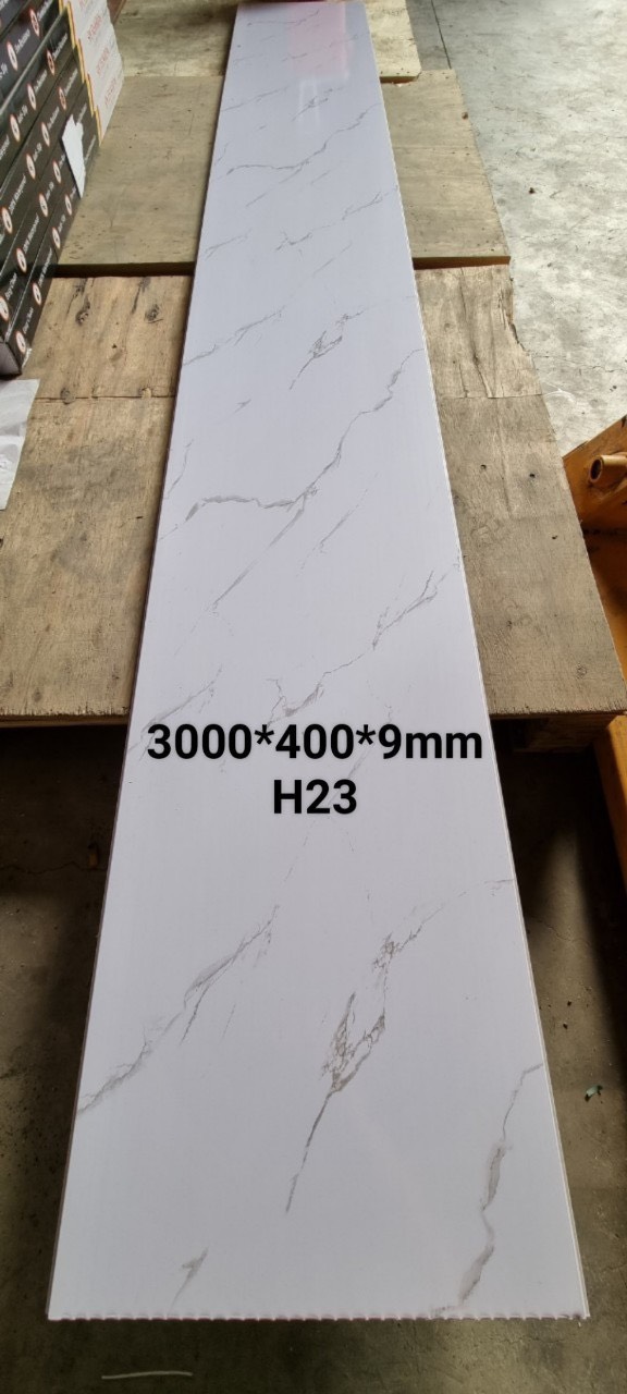 H23