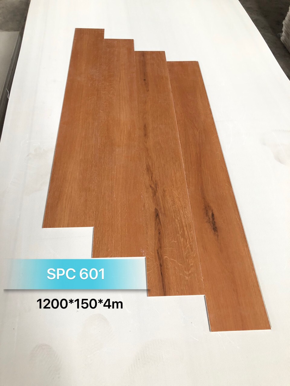 SPC 601