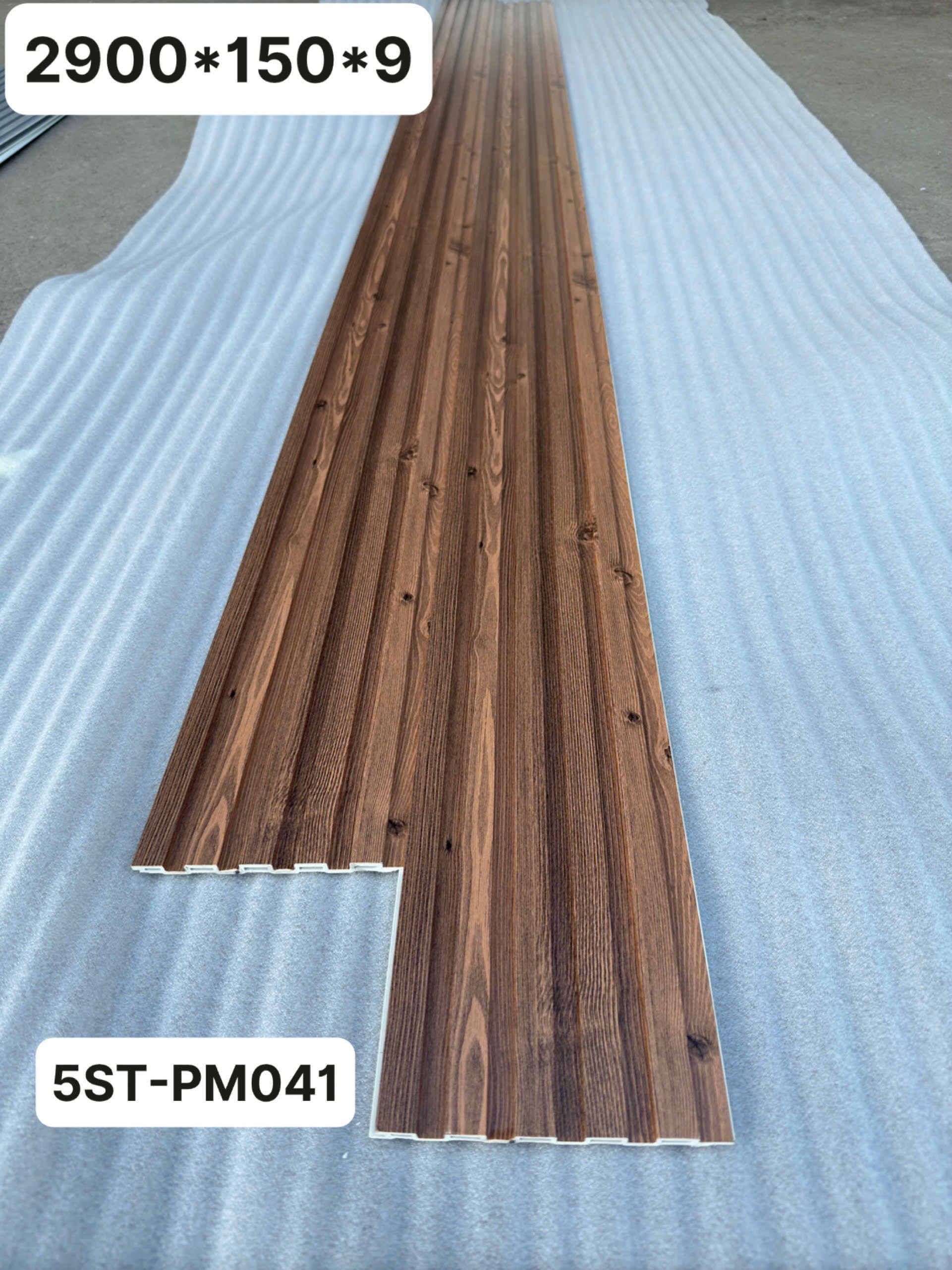 5ST-PM041