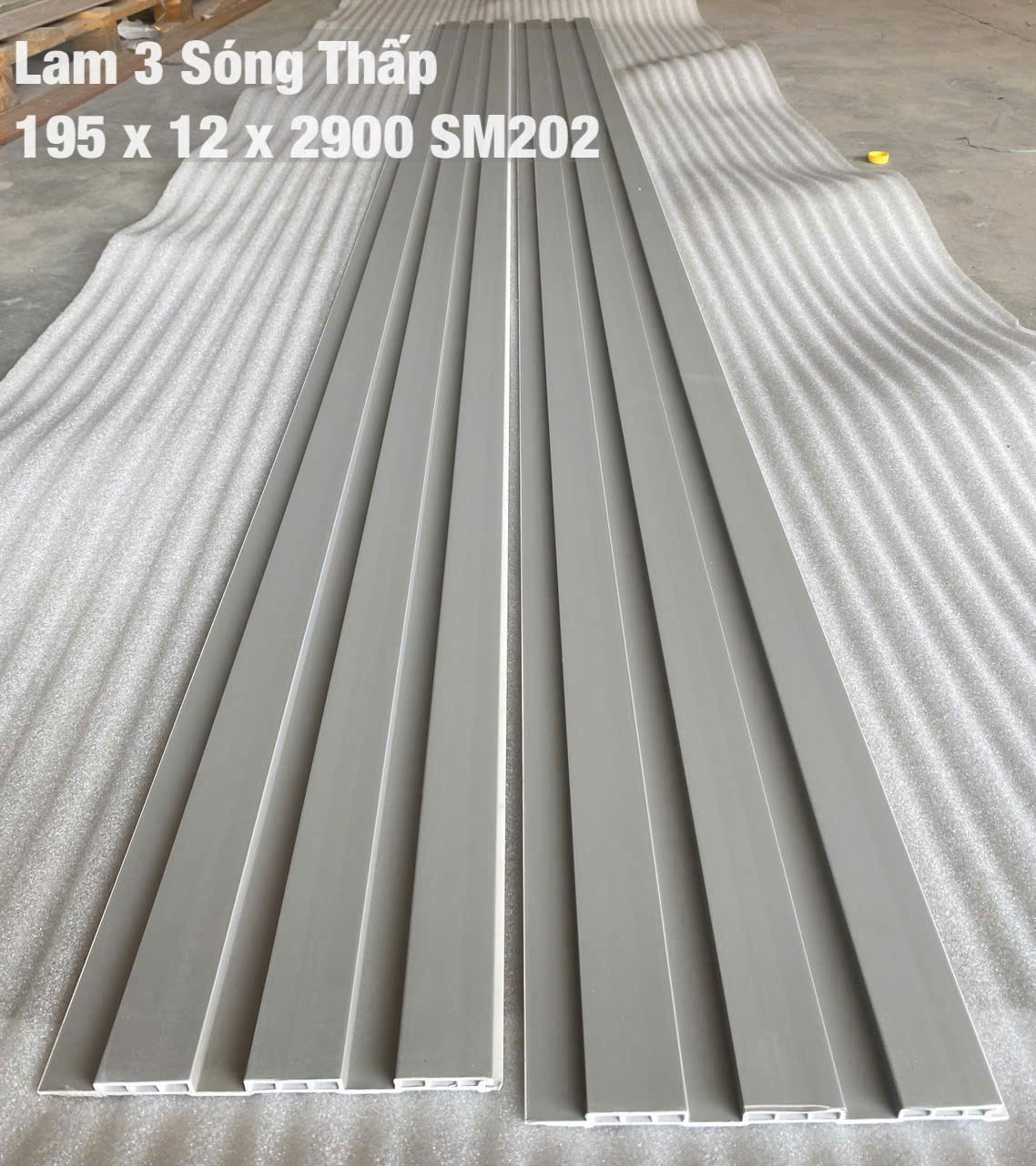 3ST-SM202