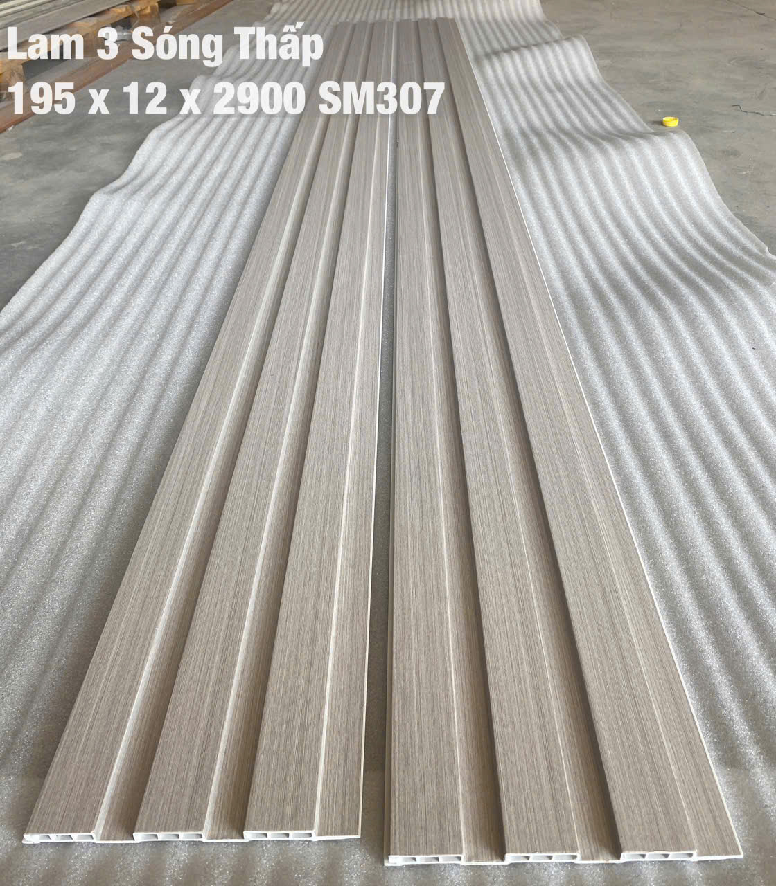 3ST-SM307
